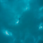N°EDM018 